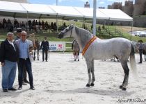 W SUBCAMPEON DEL CONCURSO, DESDEN MATER, DE MATER CHRISTI. ENTREGA ANTONIO PEREZ A PEDRO PINGARRON (Copiar)